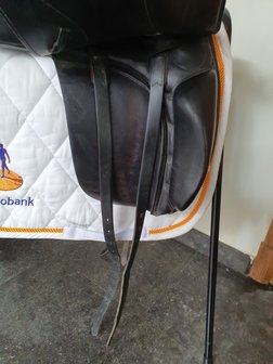 Kentaur Medea zweetblad