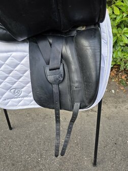 Arno Brandt 17,5 inch