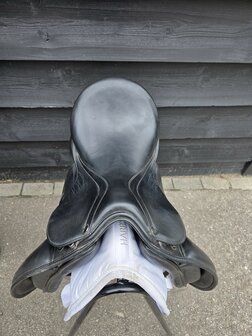Kingsley D3 17,5 inch