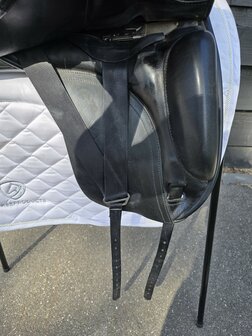 Anatomica Octant G3 18 inch 