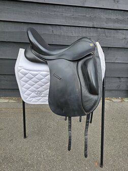 Anatomica Cygnus G3 17,5 inch