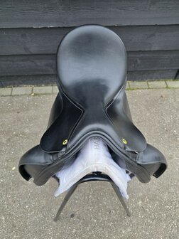 Anatomica Octant G3 17,5 inch