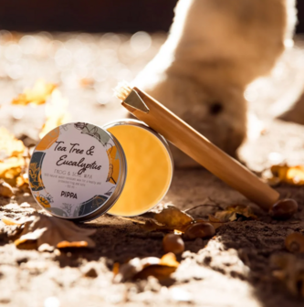 PIPPA Tea Tree &amp; Eucalyptus Straal en Zool Wax
