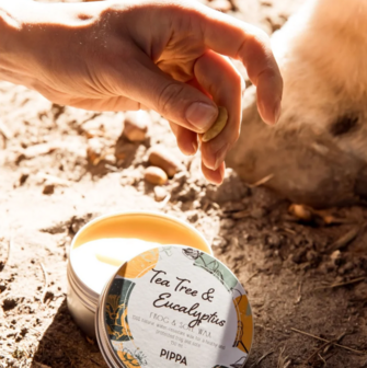 PIPPA Tea Tree &amp; Eucalyptus Straal en Zool Wax