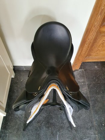 Kentaur Medea zitvlak