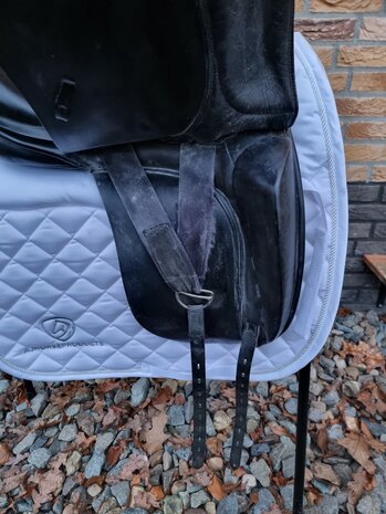 Kentaur Penelopa zweetblad