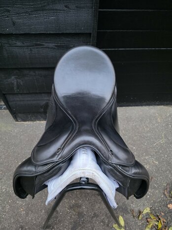 Kingsley D2 17,5 inch