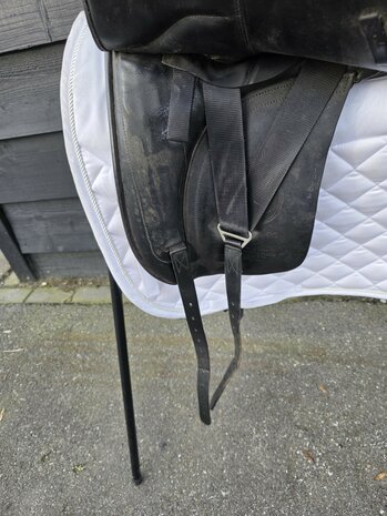 Anatomica Orion 17 inch