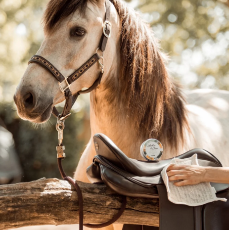 PIPPA Leather & Clean Lederzeep