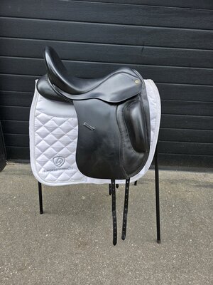 Anatomica Cygnus G3 17,5 inch