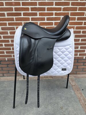 Anatomica Octant G3 17 inch